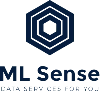 /SuccessStories/CompaniesLogos/ML-Sense-Solutions.webp